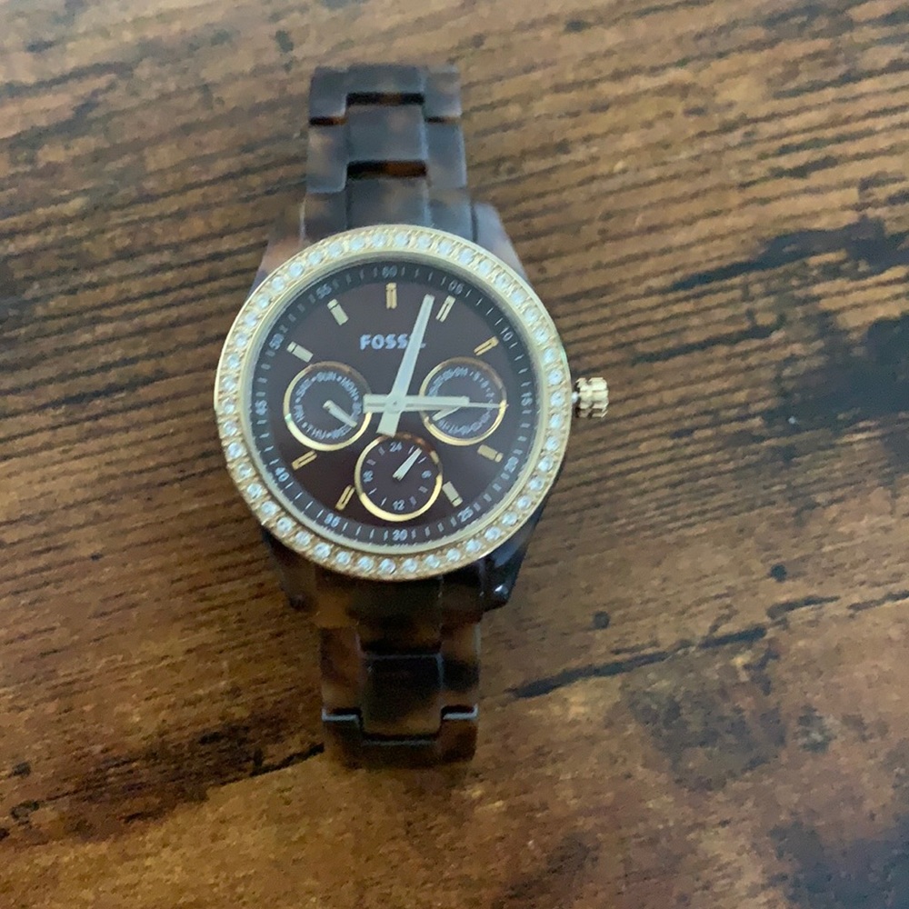 Tortoise Fossil Watch